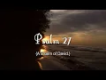 Psalm 27 Reading: Finding Light in the Darkness (With words - KJV)