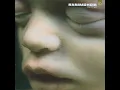 Feuer frei! - Rammstein