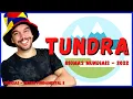 TUNDRA - World Biome Science 2022 Complete Lesson with Summary Middle School