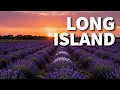 The Hamptons Are the Most Overrated Part of Long Island Here Are 22 Places I d Go Instead