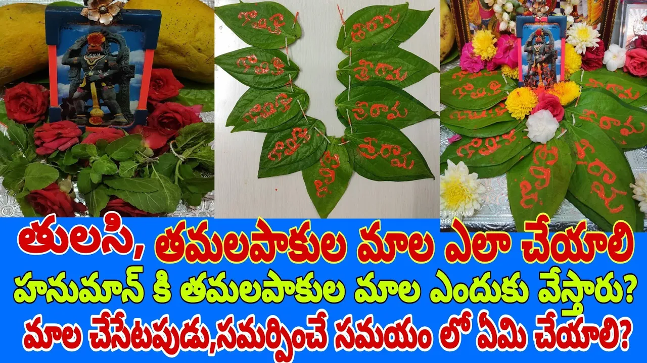 ఆంజనేయ స్వామికి ఇష్టమైన తమలపాకులు,తులసి మాల ఎలా చేయాలి|Betel leaf garland for Lord hanuman blessings