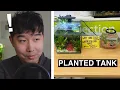 PETCO IS IMPROVING Fish Tank Review 225