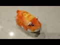 Zhu Zhu Pets Hamster Reviews Carly By RyderRenegade 2025 Review