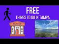Free Things To Do In Tampa