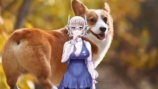 サクラ敗戦３ フルバージョン 