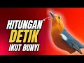 Lagu LANGSUNG NYAUT 10000 % ‼️ ANIS MERAH MACET BUNYI JIKA DENGAR SUARA INI PASTI NYAUT LANJUT GACOR | 66