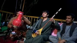 آهنگ دمبوره جدید نجیب کشمی همتو مست Najib Kashmi S New Damboura Song Hamto Mast 