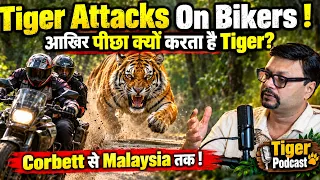 Tiger Attacks On Bikers ! आखिर पीछा क्यों करता है Tiger? Corbett से Malaysia तक ! Tiger Podcast