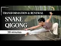 Download Lagu Snake Qigong for Beginners \u0026 Advanced Variation | Mindful Transformation for a Brand New You