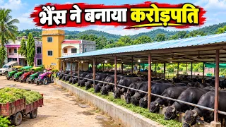 दादाजी की 2 भैंस से करोड़ों का Business! | 30 लोगों का परिवार Dairy Family