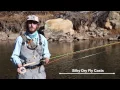 Sage MOD Fly Rod Review On the Water Demonstration with Telluride Angler