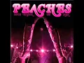 Peaches - Boys Wanna Be Her