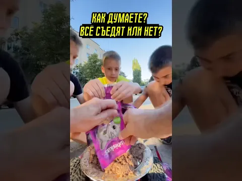 Покормили с подписчиками бездомных котов с помощью машинки добра