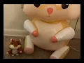 Smooge the Hamster sing Sunroof