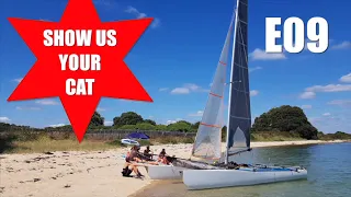 Show us your cat! E09 USA, UK and France