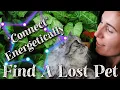 How to Find a Lost Pet - Connect With Your Pet Energetically