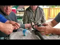 SD jam and Springer knots