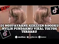 Lagu DJ NGUPAYAKNE KEKEPEN ROGOKU NYILIH PUNDAKMU VIRAL TIKTOK TERBARU