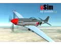 uSim Project P51