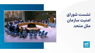 نشست شورای امنیت سازمان ملل متحد دندنها