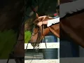 Download Lagu Freedom lover!!❤Girl horse riding 🥰🥰🥰/KK singer/tu mujhse fir na ruthna song/