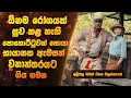 Lagu ඕනම රෝගයක් සුව කළ හැකි පොහොට්ටුවක් සොයා භායානක ඇමසන් වනාන්තරයට ගිය ගමන | Sinhala Movie Review