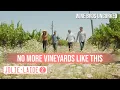 Jolie-Laide Walking an Old and Extremely Rare Vineyard Wine Bros Uncorked