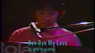 Bye Bye My Love U Are The One サザンオールスターズ 1985年 