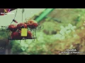 Download Lagu Hulm al Takhruj (Feel Good Nasheed) | عبد الله المهداوي | Abdullah al Mahdawa