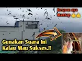 Download Lagu SP PANGERAN SRIWIJAYA By Andi Sufar 77