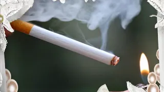 قمرنا      ياسمين عادل دندنها