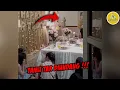 Download Lagu PENAMPAKAN POCONG DI ACARA ULTAH | VCS PART 26