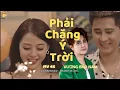 Download Lagu Phải Chăng Ý Trời l Vương Bảo Nam l MV 4K Đừng lo cho anh nhé em ơi hợp tan là do ý trời..