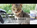 Download Lagu Lagu Banjar Uma Abah Karaoke Akustik