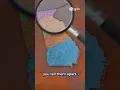 Georgia s 5 Geographic Regions Explained