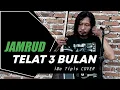 Download Lagu Telat 3 Bulan - Jamrud | iWa Tipis Cover