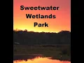 Ranger Amanda Sweetwater Wetlands Park Gainesville FL History a Habitat Restoration Success Story
