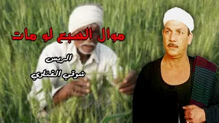 موال السبع لو مات   شوقي القناوي دندنها