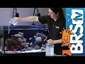 How To Dosing 2 Part in Your Reef Tank