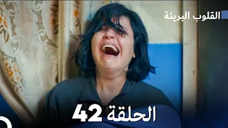 القلوب البريئة الحلقة 42 Arabic Dubbing FULL HD 