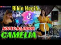 Download Lagu VIRAL TIKTOK‼️CAMELIA // KOPLO BAJIDOR //LIVE TOMO //MR PROJECT //MARANTIKA MUSIK