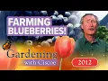 FARMING BLUEBERRIES Pick Your Own in Sequim Gardening With Ciscoe Full Episode