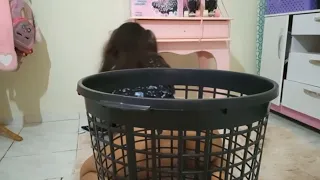 the new basket revealed me with nothing 
