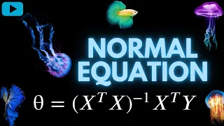 Normal Equation code in python AI Basics