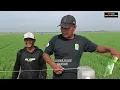 WIH MANTAP NI..!!!! LURAH JUJUN SEGERA RESMIKAN JEMBATAN SRI BADUGA UNTUK PARA PETANI,,