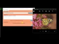 Image Steganography Using Python Code