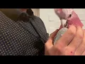 Charlie biting being savage