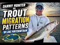 Cracking the Code Trout Migration Patterns in Lake Pontchartrain