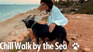 No Copyright Music Playlist - 1 Hour Lofi Hip Hop Mix - 🐾 Walking a Dog in Spain, Mil Palmeras 🌴