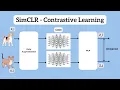 SimCLR with Lightly Contrastive Learning Made Easy